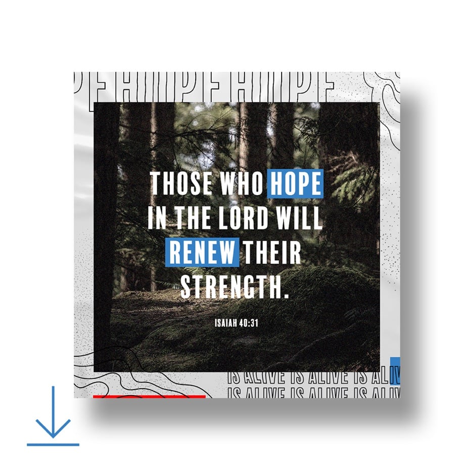 Those who hope in the Lord renew their strength