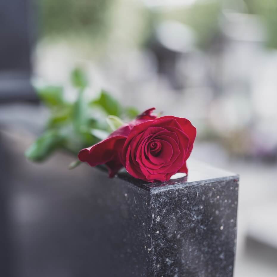 A single rose on top of a headstone